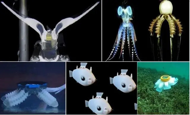 電子：Swimming Leaf水下軟體機器人的研究成果分享