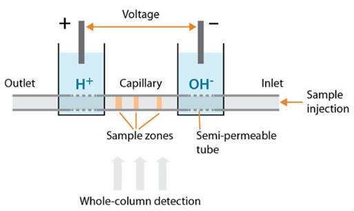 ATA-7050毛細管電泳功率放大器如何進(jìn)行毛細管電泳實(shí)驗 ATA-7050毛細管電泳功率放大器如何進(jìn)行毛細管電泳實(shí)驗