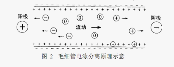 ATA-7050毛細管電泳功率放大器如何進(jìn)行毛細管電泳實(shí)驗 ATA-7050毛細管電泳功率放大器如何進(jìn)行毛細管電泳實(shí)驗
